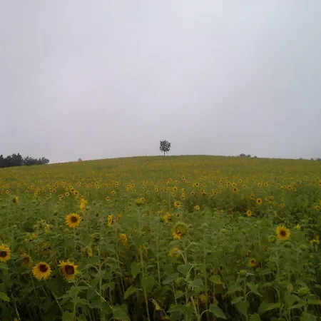 Sommerfrische Hinterhermsdorf Buitenkant foto
