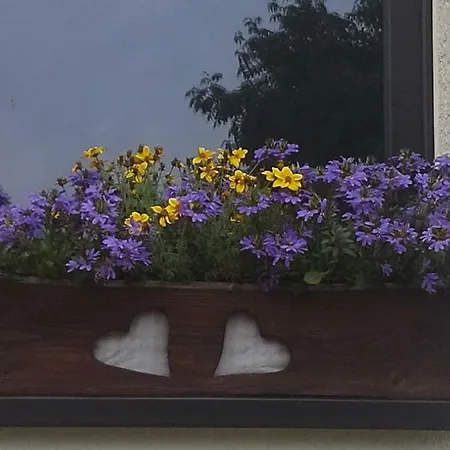 Sommerfrische Hinterhermsdorf Buitenkant foto