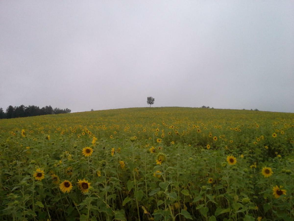 Apartment Sommerfrische