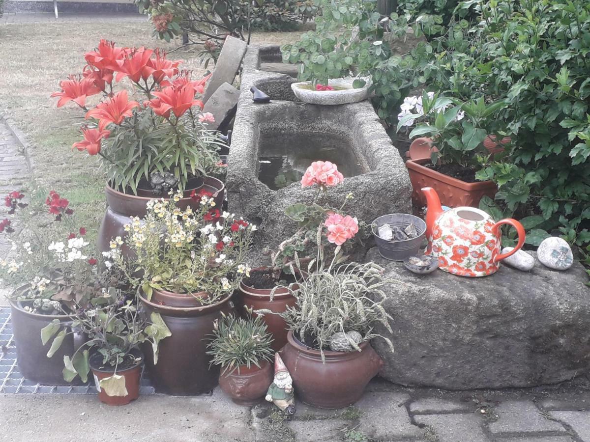 Apartment Sommerfrische *