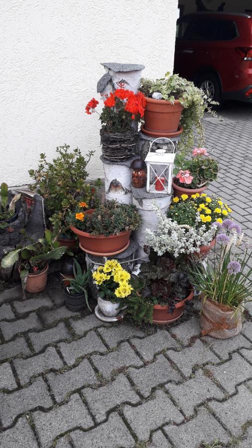 Apartment Sommerfrische Hinterhermsdorf