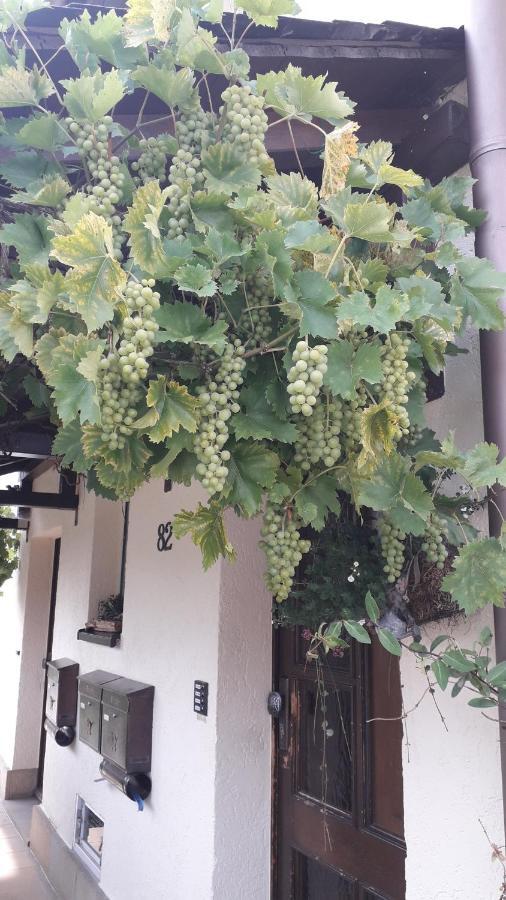 Apartment Sommerfrische